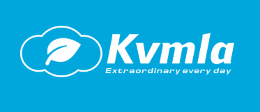 Kvmla 香港沙田CN2云服务器8折优惠新加坡CN2独立服务器7.5折促销 内存均免费升2G-万万没想到